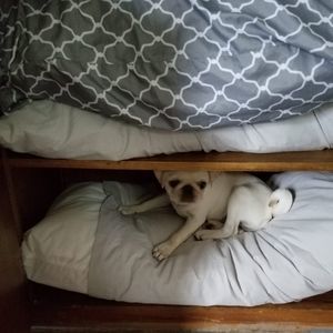 Meet your Posher, Robin